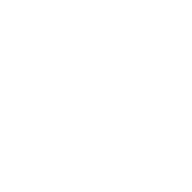 leekempinskistudio - אימונים פונקציונליים • כח • פילאטיס • יוגה